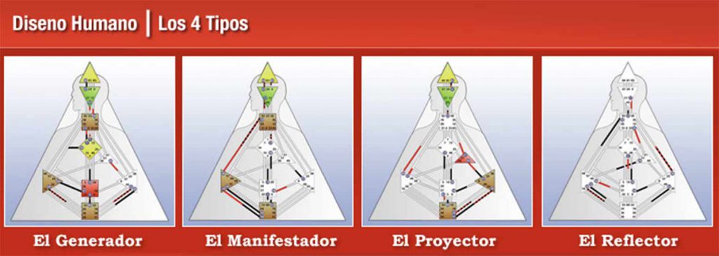 Sistema de Diseño Humano. Los 4 tipos