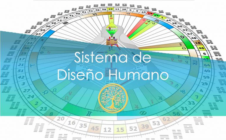 Sistema de Diseño Humano